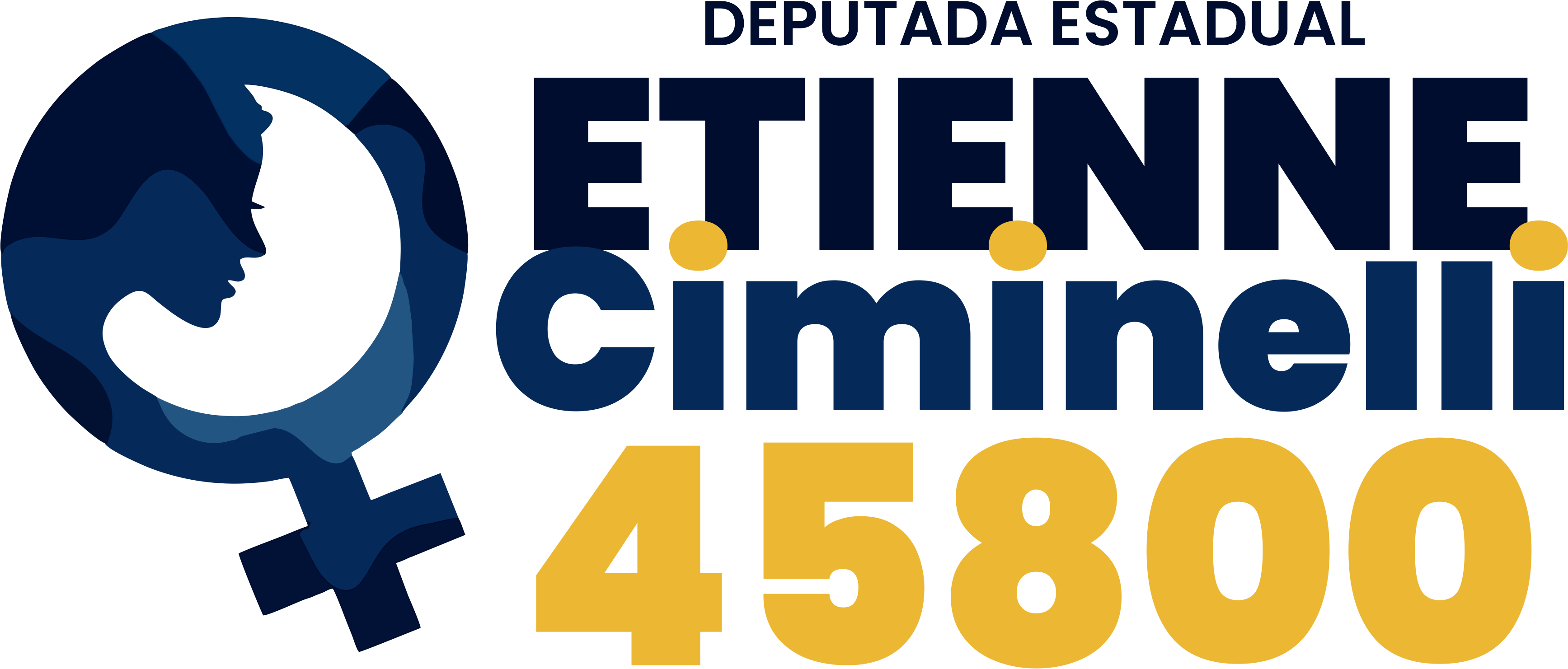 Etienne Ciminelli, Deputada Estadual, 45800
